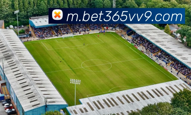 bet365中国官网发展历程